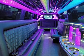 Yorba Linda Limo Interior